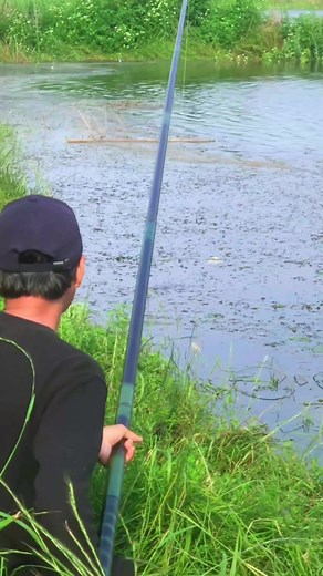 3.2M views · 10K reactions | Plung on Reels | Facebook