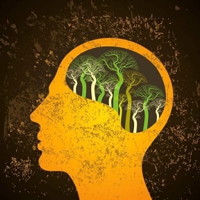 Etapas y Características del Desarrollo Humano ▷➡️ Postposmo