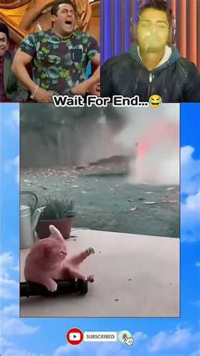 Teddy Bear EXPLODES! Shocking Reactions Caught on Camera! #shorts