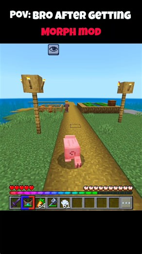 POV: bro after getting a morph mod in Minecraft!