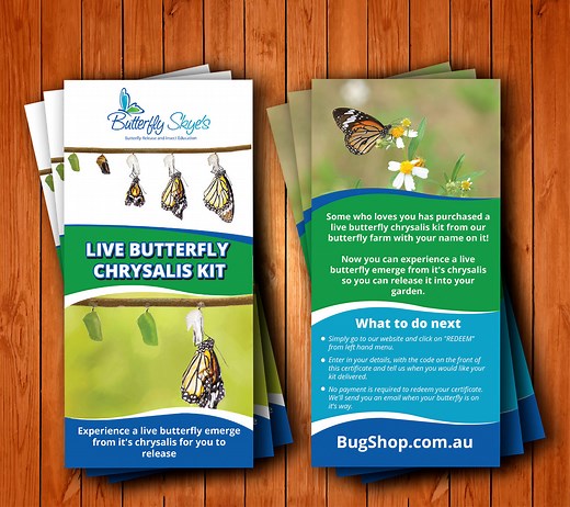 Butterfly Chrysalis Kit