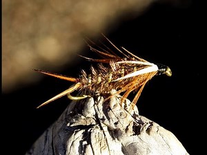 Prince nymph fly tying instructions by Ruben Martin