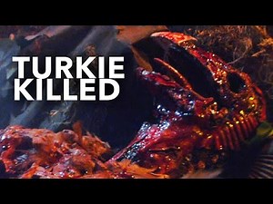 ThanksKilling 3 - Turkie Chopped Up Inside PluckMaster