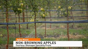 WATCH: Your ag news in 60 seconds! Here's today's AgDay Minute. | AgDay