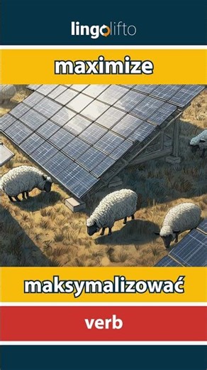 🇬🇧🇵🇱 maximize - maksymalizować : learn English : Uczmy się angielskiego : vocabulary builder