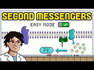 Second Messengers Systems - Hormones and Intracellular Signaling
