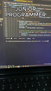 Senior vs. Junior Programmer #SeniorProgrammer #TechLeadership #codeexpert #ProgrammingPro #SoftwareArchitecture #experienceddev #codingleadership #TechMentorship #fullstackexpert #CodeOptimization #JuniorProgrammer #CodeNewbie #learningtocode #aspiringdeveloper #ProgrammingJourney #entrylevelcoder #FirstJobInTech #codegrowth #buildingskills #newtoprogramming #seniorvsjunior | Metacom Careers