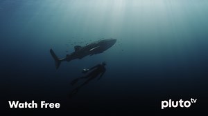 Watch Swimming with Legends for Free Online | Pluto TV