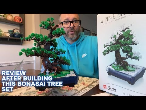 Wise Block Bonsai Tree Review — 2-in-1 Seasonal Building Set (950 pcs)