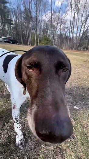 Spring time means frisbee time