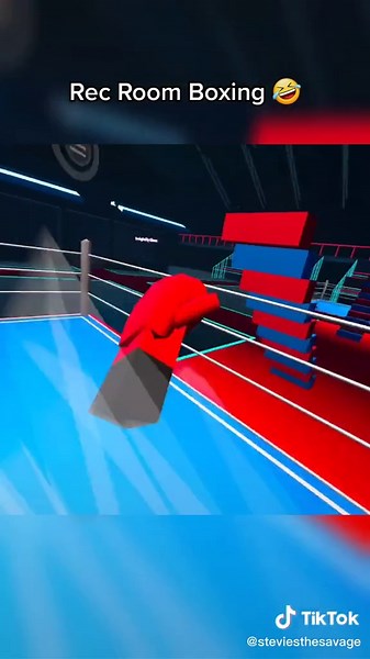 Virtual Reality Boxing Fun in Rec Room