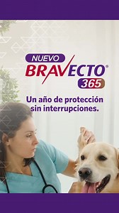 Bravecto® 365 es una versión inyectable que ofrece a los perros 1 año completo de protección contra pulgas, garrapatas y ácaros, ¡con una sola dosis! Con Bravecto®, puedes elegir la versión del producto que mejor se adapta al estilo de vida de tu perro, para más tiempo de protección y menos preocupaciones para tu familia. #BravectoDuraMás 💉 Aplicación exclusiva por médicos veterinarios. 🌎 Ya disponible en Perú, México, Guatemala y Nicaragua. ¡Pronto en otros países de América Latina! Accede a 