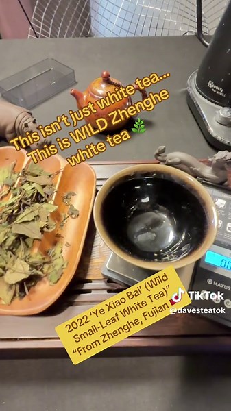This is wild white tea from Zhenghe, Fujian — and it’s not what most people expect. “Ye Xiao Bai” (wild small-leaf white tea) hits differently… Less floral, more grounded. More body. More depth. This is Gong Mei — the kind of white tea that actually has presence. Honey, hay, subtle herbal sweetness… and a smooth, clean finish that lingers. And here’s the part most people don’t know: White tea ages. 1 year = tea 3 years = medicine 7 years = treasure This 2022 is just getting started. #tea#teai#wh