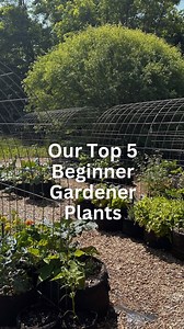 36 reactions |  Ready to Start Your Gardening Journey?  Dreaming...