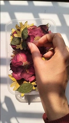 "Homemade Dried Flowers | DIY Dry Flower Storage & Preservation"🤭🌺🌸🌹👍