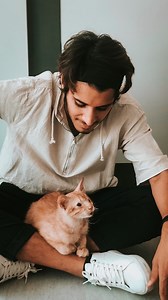 ‎عمر فاروق Omar Farooq‎ on Instagram‎: ". للي يبي يتبنى محظوظ وغيره من القطط المنقذة يتواصل معاهم @vetmedbh"‎