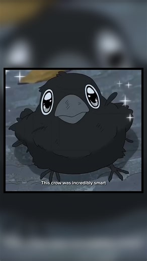 Incredible Intelligence of a Crow