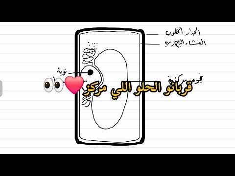 تعليم رسم | رسم الخلية النباتية.