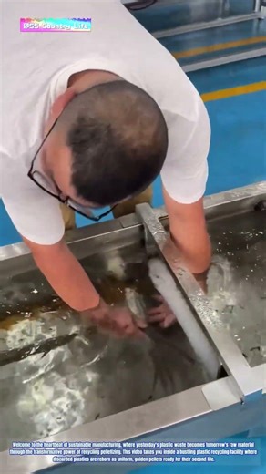 From Trash to Treasure: How Plastic Recycling Turns Waste into Golden Pellets