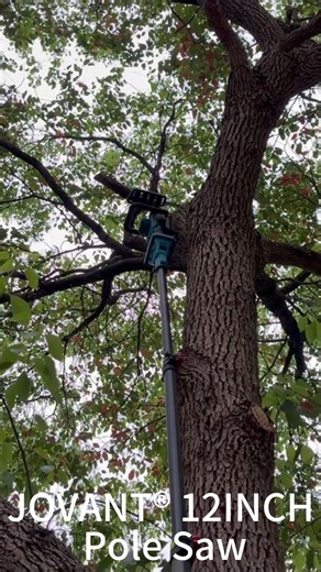 High reach 12INCH Polesaw, 2in1 Designed, One for Hand pruner, another for Pole pruner.#tools