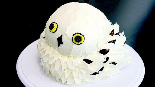 Hedwig Cake