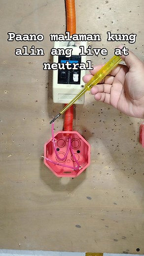 95K views · 1.5K reactions | Paano malaman kung alin ang live at neutral #rarysolarpanelsetup #fbreelsfyp #fblifestyle #fbreels #lifestyle | Electrical Video Tutorial | Facebook