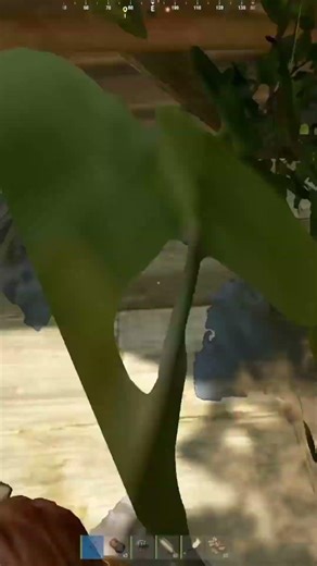 Bow vs Custom SMG #rust