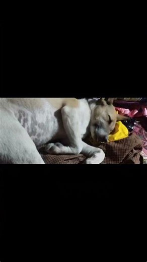 ၂၀၂၆၊ ၂၄ ဖေဖော်ဝါရီ