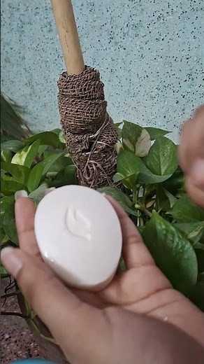 Dove Soap pH Test 🧼 Is It Really Skin-Friendly? Watch Before You Use It!