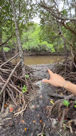 Comment je fais pour récupérer ma tong ? 😭