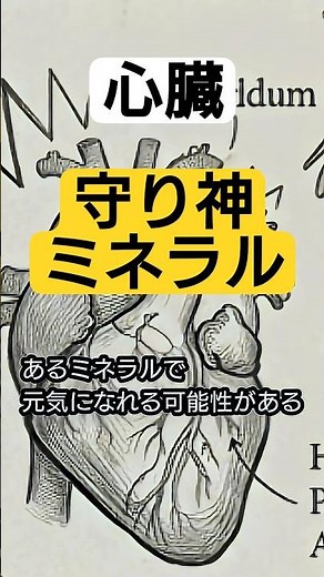 【期外収縮】虚血性心疾患リスクも軽減！？ #心臓病 #健康 #栄養 #マグネシウム #メンタル #心臓神経症