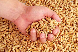 Quelle est la différence entre pellets et granulés ?