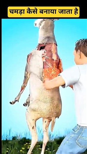 चमड़ा कैसे बनाएं 😱 #facts #sierra #quran #tweening #2026