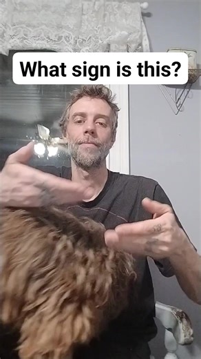 884 reactions · 67 shares | What sign is this? What is he finger spelling? . . .he signs the sign .he finger spells the sign . .when you know the alphabet you can increase your vocabulary with these posts . .alphabet video for practice in the comments below . . . . . The sign is " almost " #asl #signlanguage #signlanguageinterpreter #signlanguagelearning #americansignlanguage . . . The sign is " almost " | Thomas Boyce Clark | Facebook