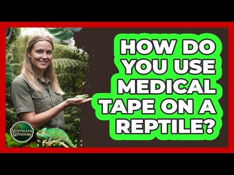 How Do You Use Medical Tape On A Reptile?