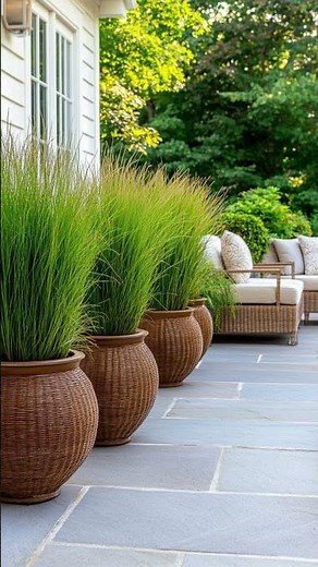 27 Unique Backyard Privacy Ideas for Outdoor Decorating