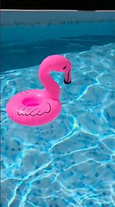 New pool float for our pool