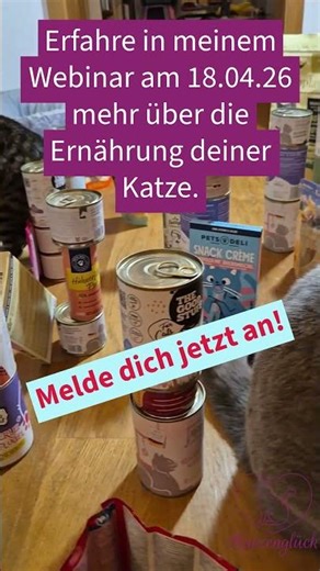 Webinar Ernährung für Katzen - Melde dich jetzt an!