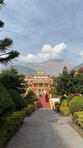Gyuto monastery dharamkot #explorepage #travelindia #trending #fypage #viral #shorts #shortsfeed