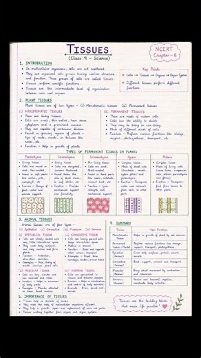 Class-9#science#educational videos#chapter-6#viral shorts#Nnotes#