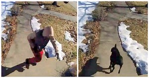 Package Thief Tries To Steal A $4 Item, Gets Caught And Chased By Family Dog
