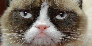 'Garfield' tendrá un cómic crossover con Grumpy Cat