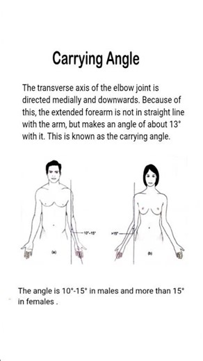 Carrying Angle of Elbow Joint – Male vs Female