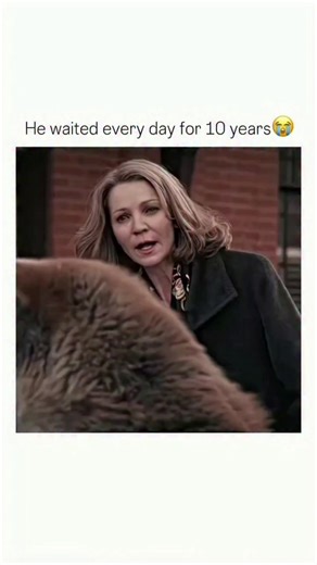 Pawbuddiz on Instagram: "The fact that this story is based on real events makes it even more powerful. Hachi: A Dog’s Tale (2009) is a moving drama inspired by the true story of Hachikō, the Akita whose unwavering loyalty captured global attention. The film follows Professor Parker Wilson, a college music teacher who discovers a lost puppy at a train station and brings him home. Over time, the two develop an extraordinary bond, marked by Hachi accompanying the professor to the station each morni