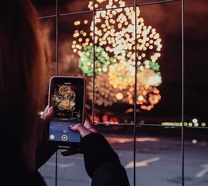 Animals Blown Up With Fireworks, Videos Posted On Social Media: Police