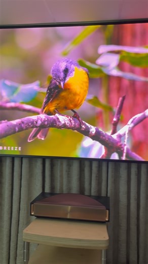 E-PIPHANY on Instagram: "Meet the new Hisense L9Q Laser Projector - a true beauty you need to see (and hear!) for yourself. Visit our branches to experience its stunning 4K picture, vibrant TriChroma laser colour, incredible brightness, and its premium 6.2.2 audio system co-developed with Devialet. With six front speakers, two upward-firing speakers, two subwoofers (116W total), and tuning by Opéra de Paris ,plus Dolby Atmos & DTS:X - this projector delivers breathtaking, room-filling sound. #hi