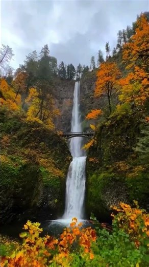 bucket list fall road trip 👇 ➡️ Send this to someone you want to do this with! Oregon is STUNNING