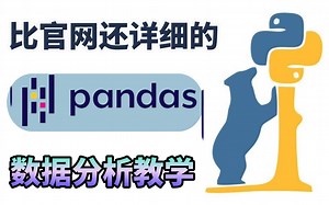 吹爆！这是我见过讲的最详细的Python基础【Pandas数据分析】教学视频！小白入门必看，杨淑娟老师手把手带你使用pandas，技能点直接拉满！