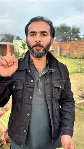 Benefits of Organic Fertilizer for Sustainable Growth