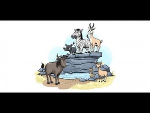 [Vibo4Kids]How Zebra got his stripes